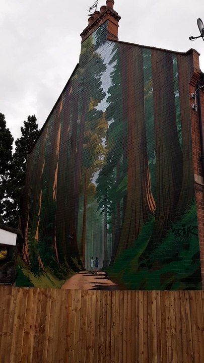 The new mural off Wych Elm Drive in Leamington