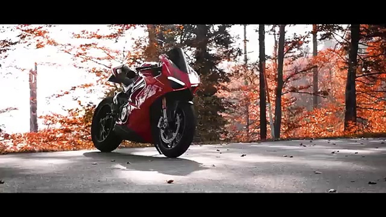 THE RED WOODS