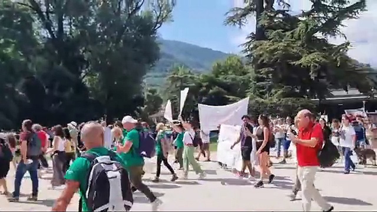 Trento, il corteo degli animalisti in difesa degli orsi