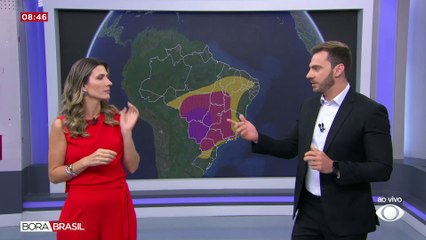 Resgate de boto que sofria com a seca na Amazônia viraliza na internet