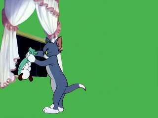 Tom and Jerry Greenscreen,toms puppy problem