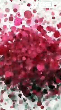 Observer le ciel en été! #astronomie #ciel