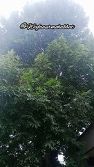 Kabhi Kisi ko mukamal Jahan nahi milta