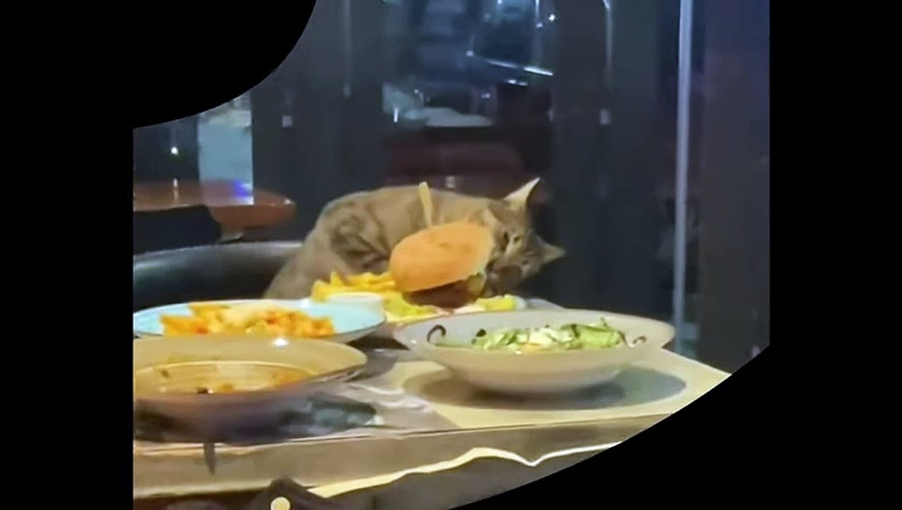 C'est à la fois le plus improbable des festivals de ciné des Etats Unis, mais aussi le plus mignon : tu ne devineras jamais son concept