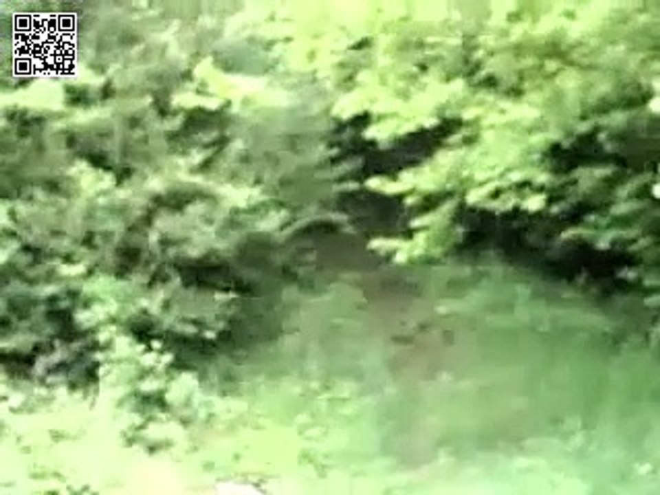 LE DOMAINE DE LA SALZ EN 2008