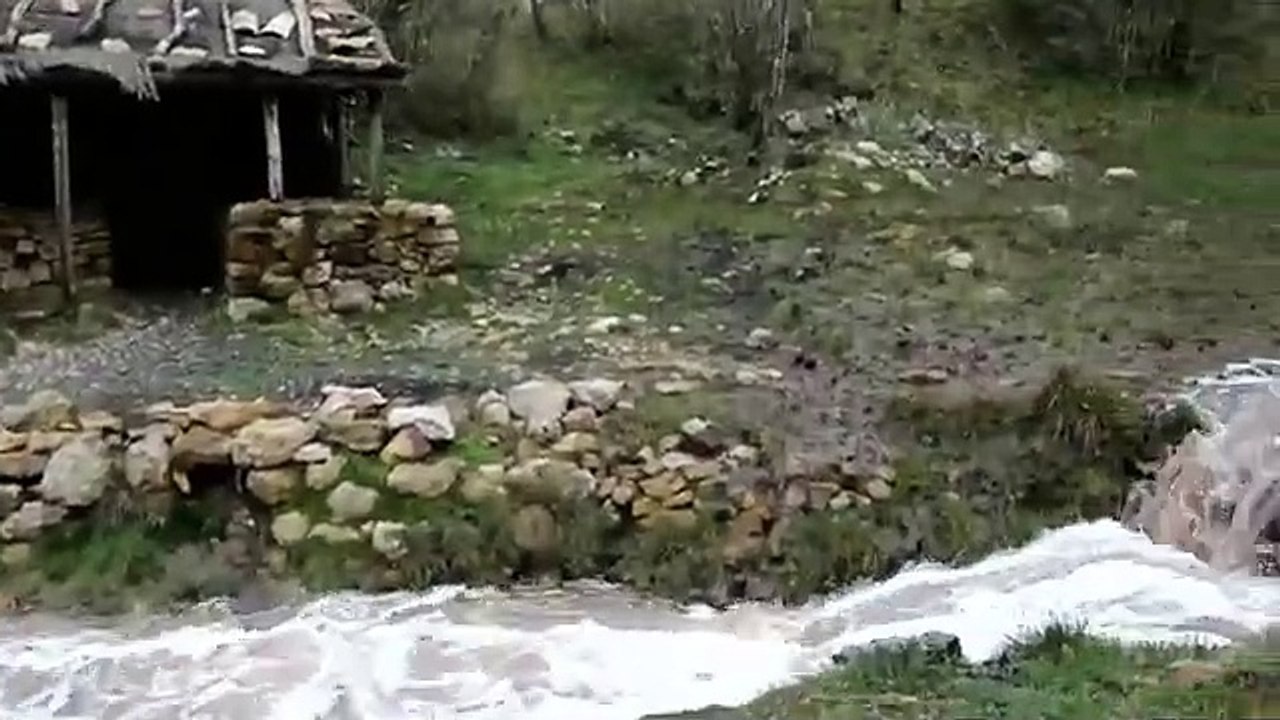 LE DOMAINE DE LA SALZ EN JANVIER 2020