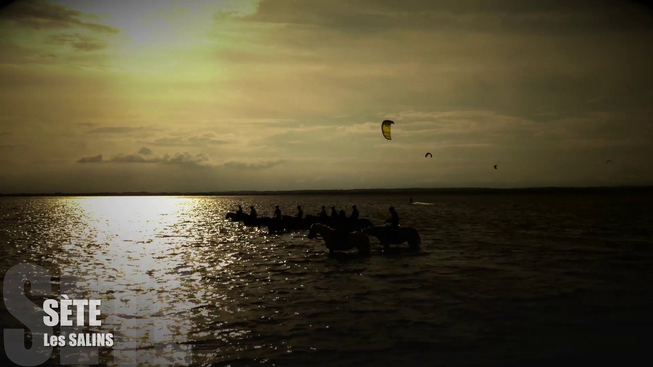 Balade à cheval aux salins à Sète
