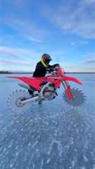 Would You Ride It...!!