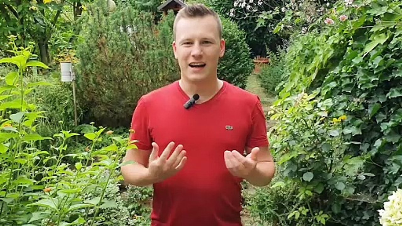 Sommercomeback dank Azoren-Hoch. Die neue Woche wird in Deutschland sonnig und warm