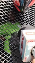 Mujer atribuye a un "espíritu maligno" la decapitación de su hija de seis años