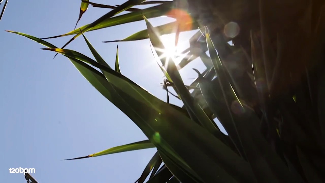 Ahmet Kilic - We Are Still Alive (The Distance & Igi Remix)