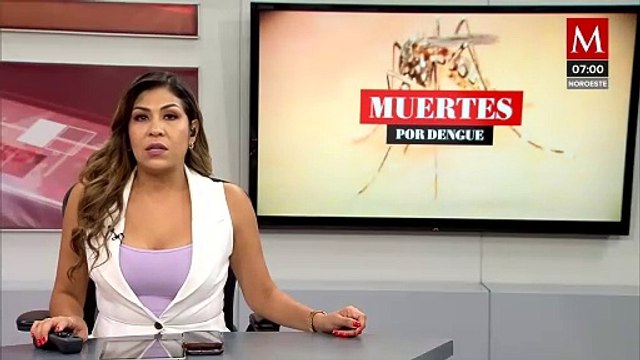 Reportan más de 33 mil casos confirmados de dengue en el país