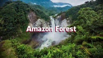 Most Dangerous Animals Of Amazon Rainforest | Strange Facts About Amazon Rainforest [Hindi/ Urdu]