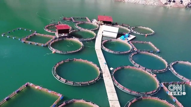 Video Haber | İklim kriziyle mücadelede gıda geleceği