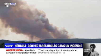 Hérault: 300 hectares brûlés dans un incendie