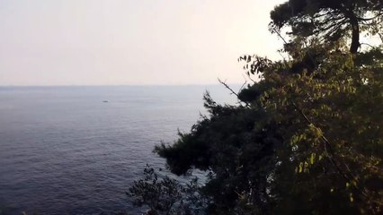 Jadransko more lepota najbolje žurke 3024