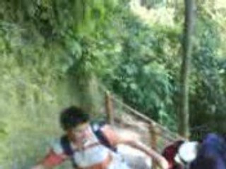 bajando 5