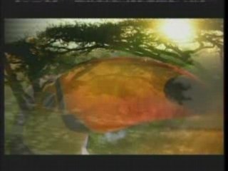 DJTC Cell Phone and Video Trance Remix