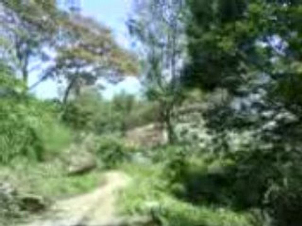 bajando 7
