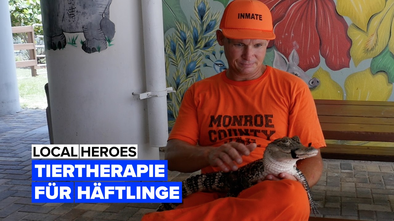 Tiertherapie für Häftlinge in den USA