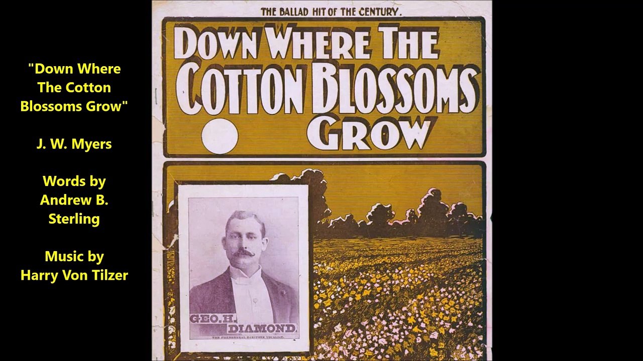 Down Where The Cotton Blossoms Grow - J. W. Mye...