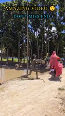 Entertainment or funny video clips 