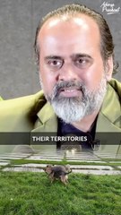 Love vs Ambition || Acharya Prashant