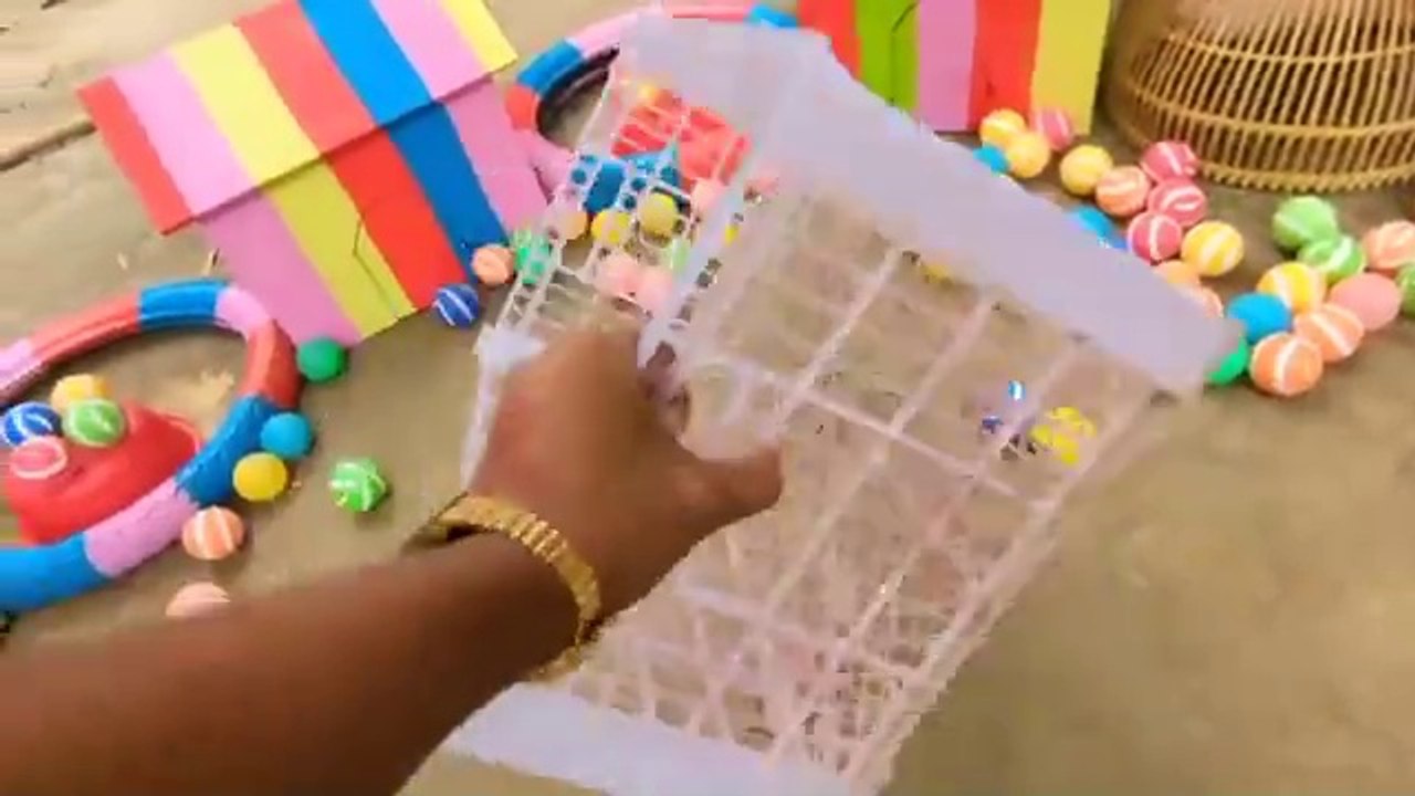 1000033853