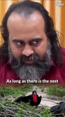 The nest is not where you belong || Acharya Prashant