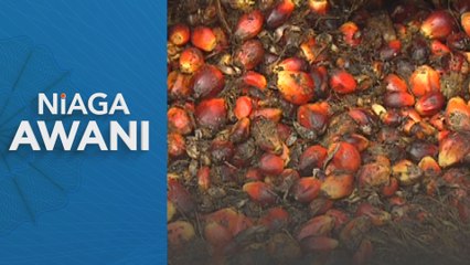 Niaga hadapan MSM didagangkan berhati-hati minggu ini