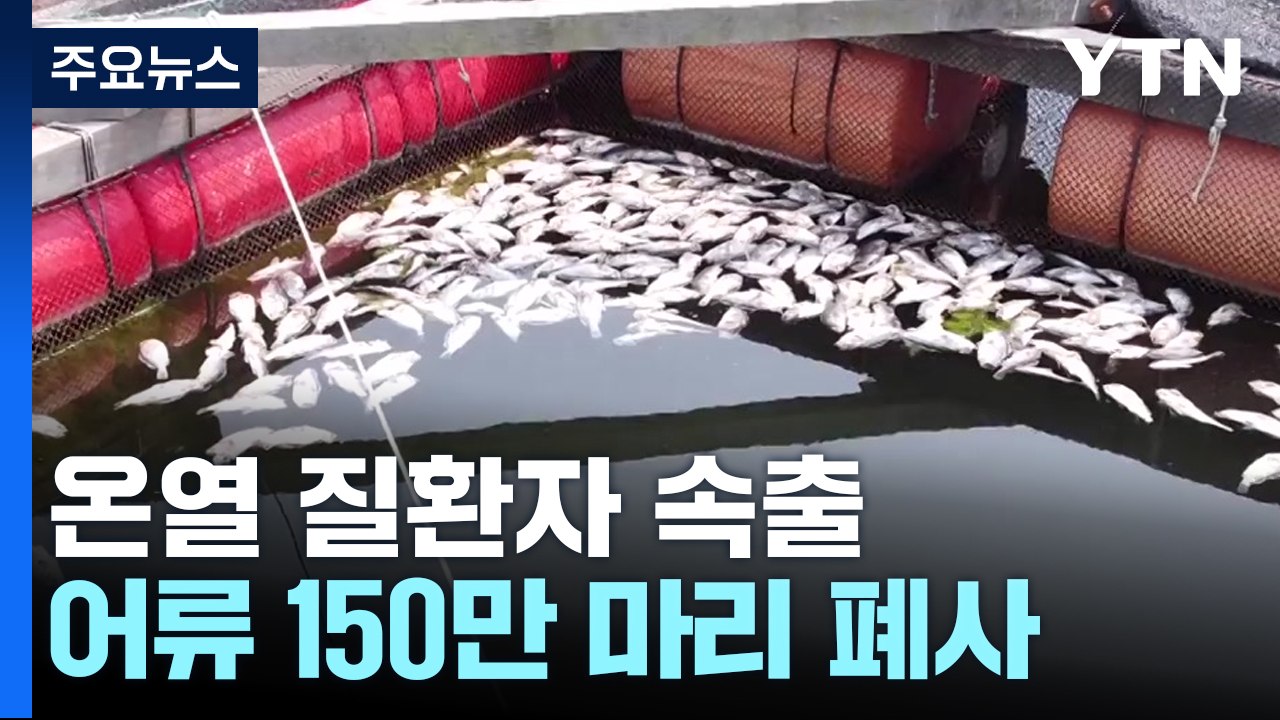 온열 질환자 2,700명 넘었다...어류 폐사 150만 마리 / YTN