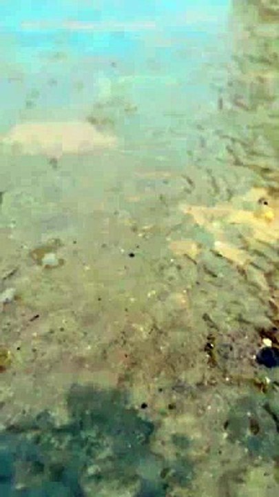 ☔️#foryou_@♠️ Miss wow ♣️_