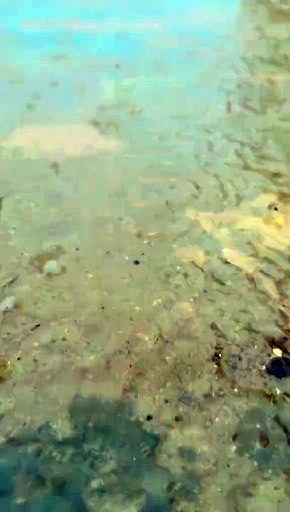 ☔️#foryou_@♠️ Miss wow ♣️_