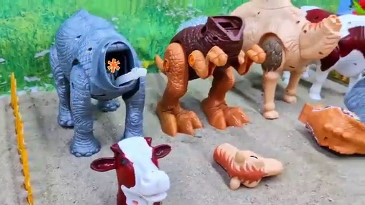 WADIDAU-️PROSES-POTONG-SAPI-KURBAN-SIMOL_15