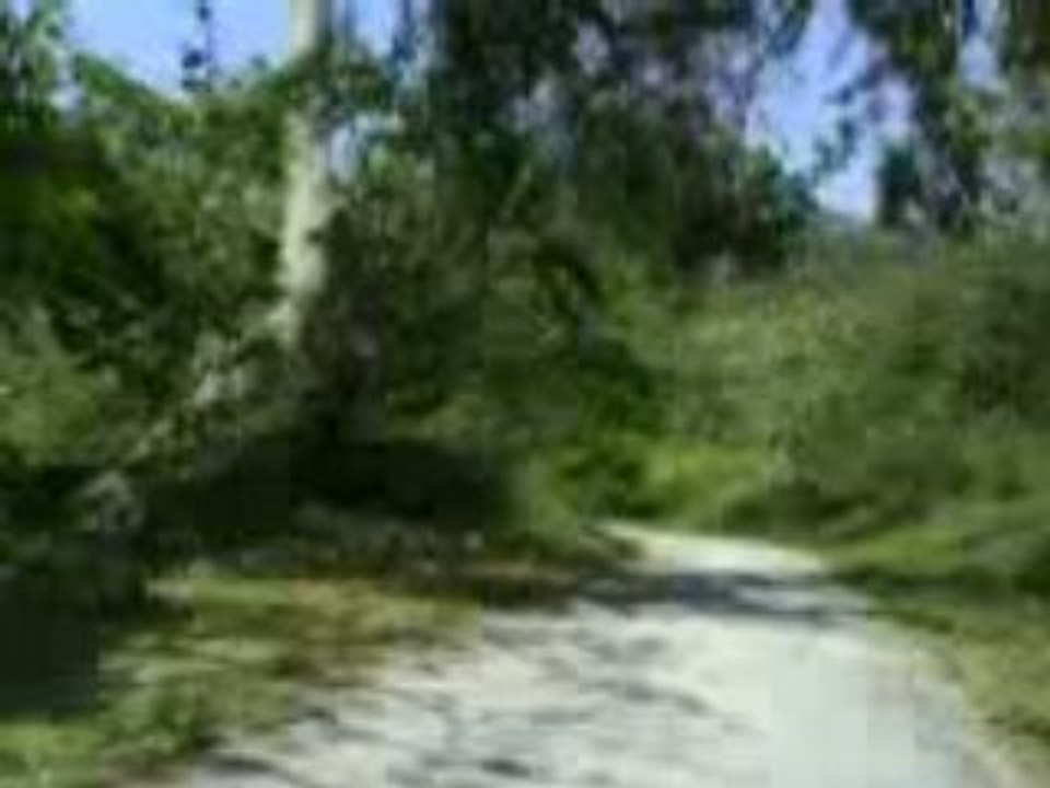 bajando 15