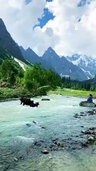 Swat #love #arabic #топ #nature #swattravelguide #travel