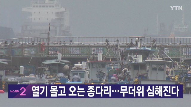 [YTN 실시간뉴스] 열기 몰고 오는 종다리...무더위 심해진다 / YTN