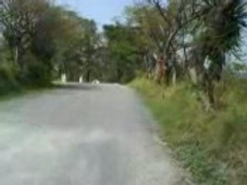 bajando 20