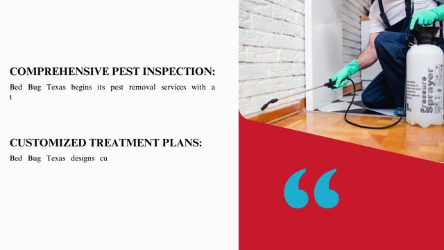 Effective Pest Removal Services