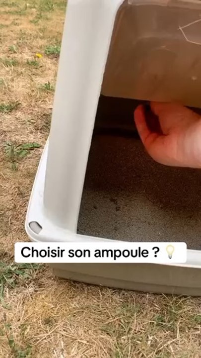 L’astuce de la rentrée : Choisir ses ampoules pour gagner de l’argent