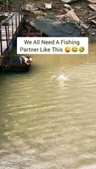 I Want a Fishing Partner Like This  #fishing