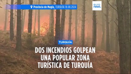 Dos incendios forestales golpean una popular zona turística en el suroeste de Turquía