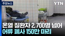 온열 질환자 2,700명 넘었다...어류 폐사 150만 마리 / YTN