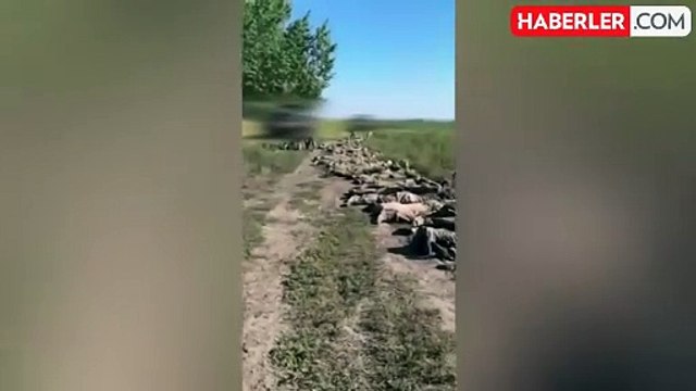 Ukrayna, Kursk bölgesine yapılan saldırıda 150 Rus askerini esir aldığını açıkladı