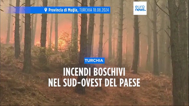 Tuchia: brucia ancora la provincia di Muğla, in una settimana oltre 100 incendi nel Paese