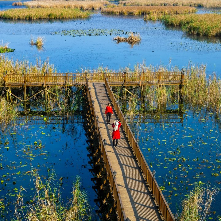Rengarenk doğa kuşlar ve endemik türler burada! Efteni Gölü