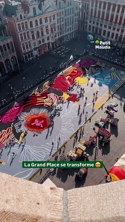 Il est de retour   Le tapis de fleurs est de retour sur la Grand Place de Bruxelles ✨  Près de 120 volontaires qui installent près d'un million de fleurs, le tout en moins de 4 heures pour un résultat époustouflant (comme à chaque fois) ⭐️  Visi