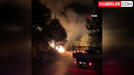 Hatay'da ağaçlık alanda çıkan yangın büyümeden söndürüldü