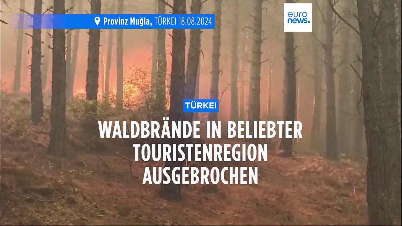 Türkei: Waldbrände in beliebter Touristenregion ausgebrochen