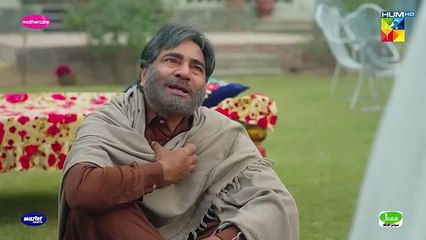 zard patton ka bunn Episode-13